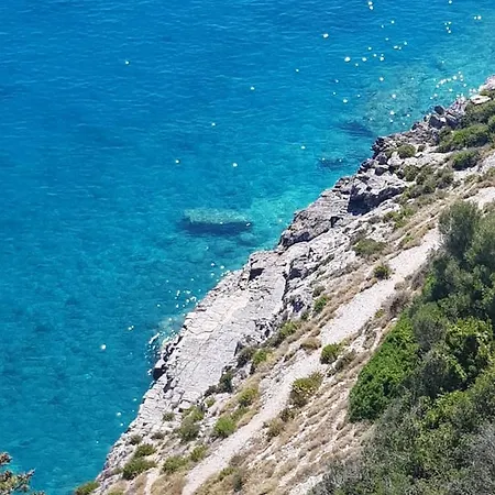 Del Mare *